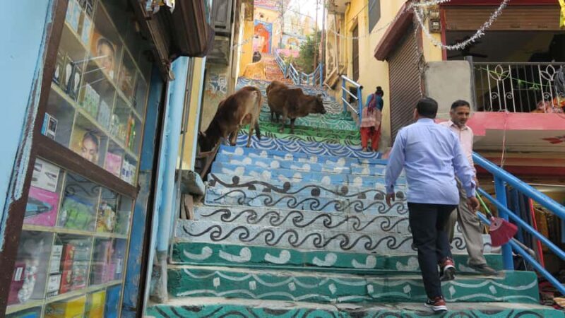 Rishikesh: Devprayag, Vashistha Cave & Temple Day Trip - FAQs