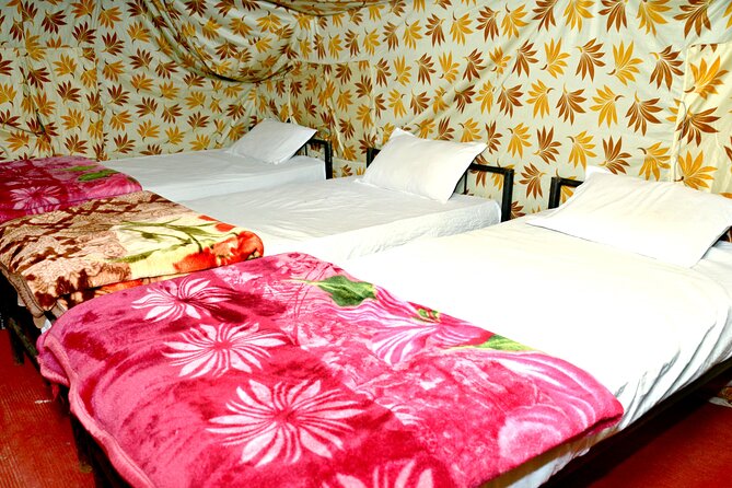 Rishikesh Glamping Experience With Food and Outdoor Activities (Feb ) - Good To Know