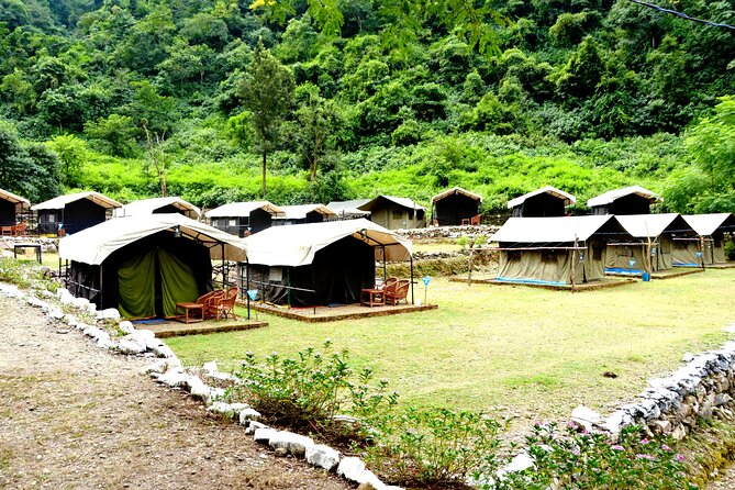 Rishikesh Glamping Experience With Food and Outdoor Activities (Feb ) - Booking Information