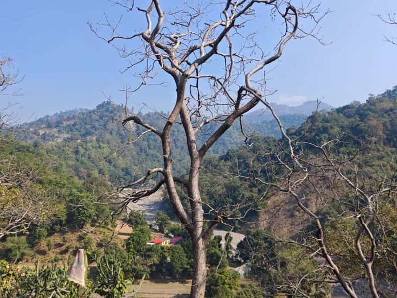 Rishikesh: Gohri Range Hike, Temple Visit, & Transfer - The Sum Up