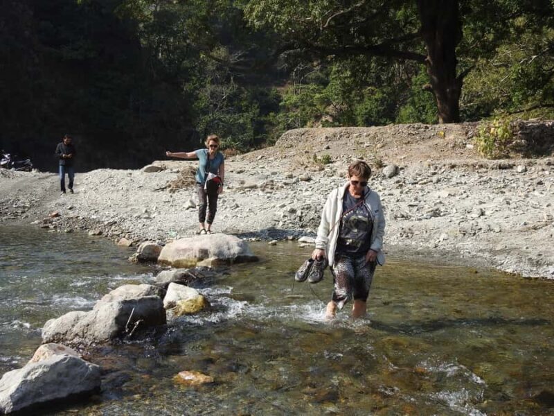 Rishikesh: Gohri Range Hike, Temple Visit, & Transfer - What’s Missing or to Consider