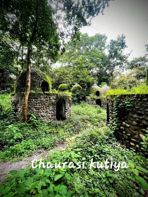 Rishikesh Guided Walking Tour: Laxman Jhula, Ganga Aarti - Final Thoughts: Who Should Consider This Tour?