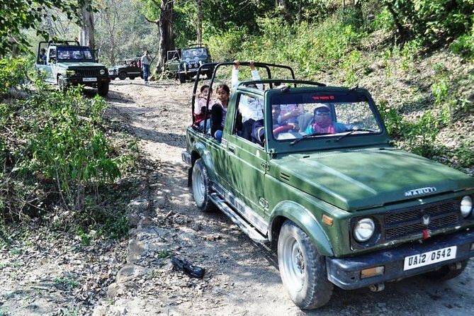 Rishikesh: Open Jeep Safari in Chilla Range, Rajaji National Park - Good To Know