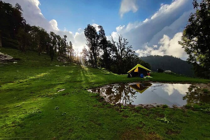 Rishikesh Private Guided Sightseeing Tour by Car - What Reviewers Say