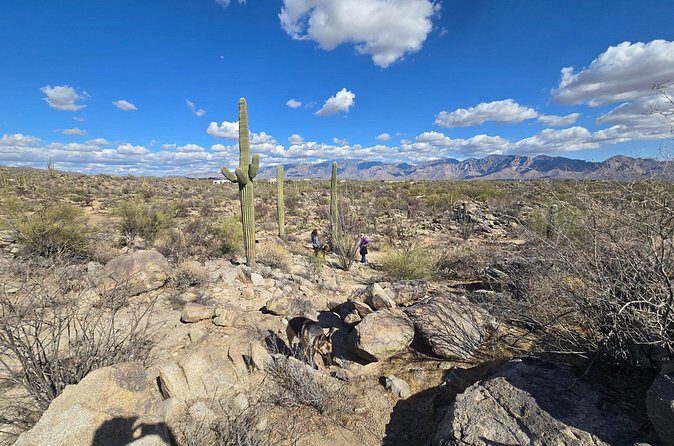 Ritz Dove Mountain and Totolita Hiking - Authentic Touches and Traveler Insights