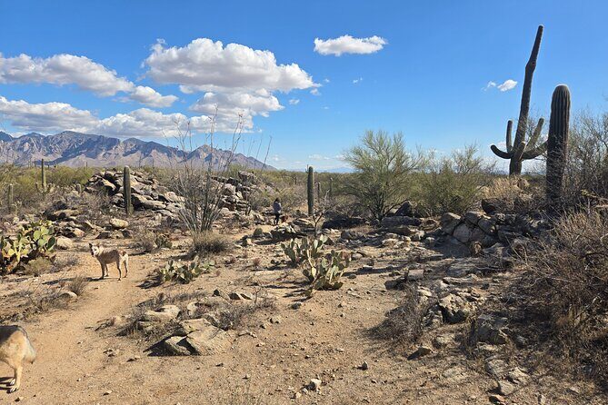 Ritz Dove Mountain and Totolita Hiking - The Sum Up