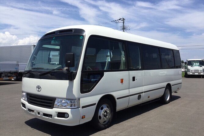 Riu Negril / Riu Palace Tropical Bay Private Airport Transfer - In-Depth Look at What You Get