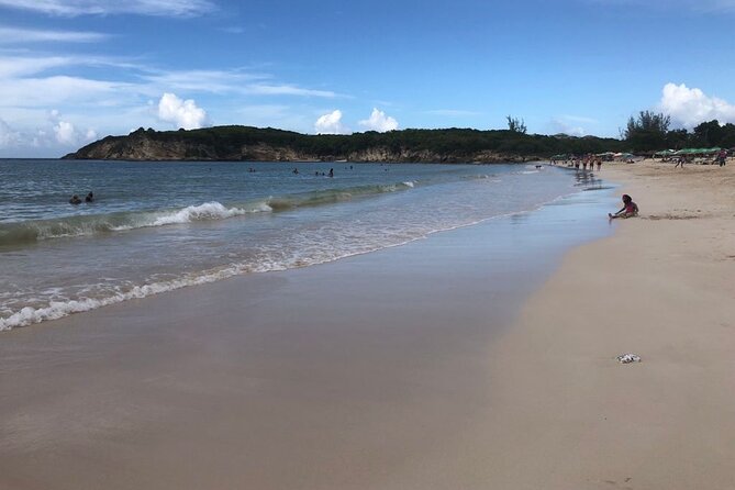 Riu Punta Cana - Round Trip Shuttle - Punta Cana Airport - Reviews Summary