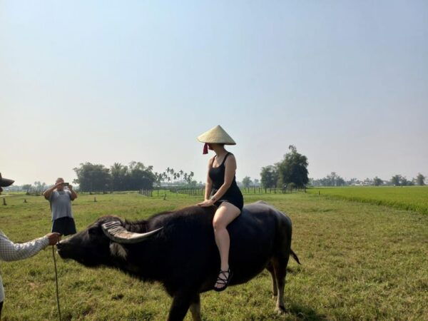 River Cruise – Discover the Beauty of Hoi An's Countryside - Scenic Cruise Highlights