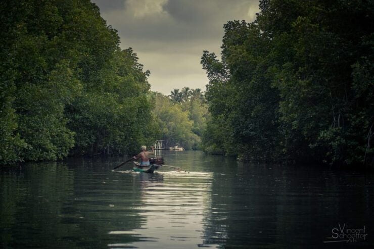 River Fishing Bentota - Good To Know