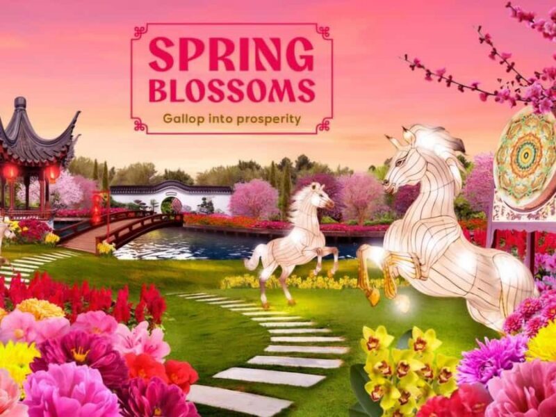 River Hongbao Tour - Why This Tour Is Worth It