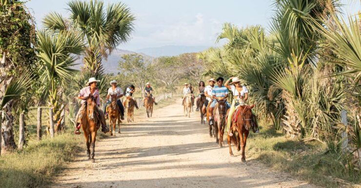 River, Ocean & Sunset Horse Riding Tour - Unforgettable Horse Riding Experience