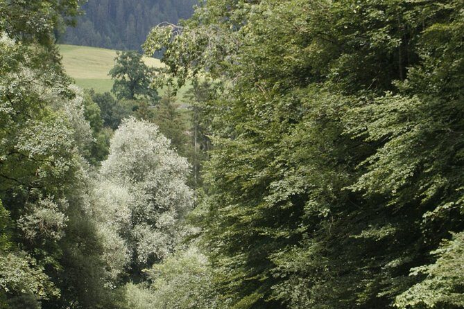 River Rafting Simme with OUTDOOR - What to Expect from the River Rafting Simme Experience