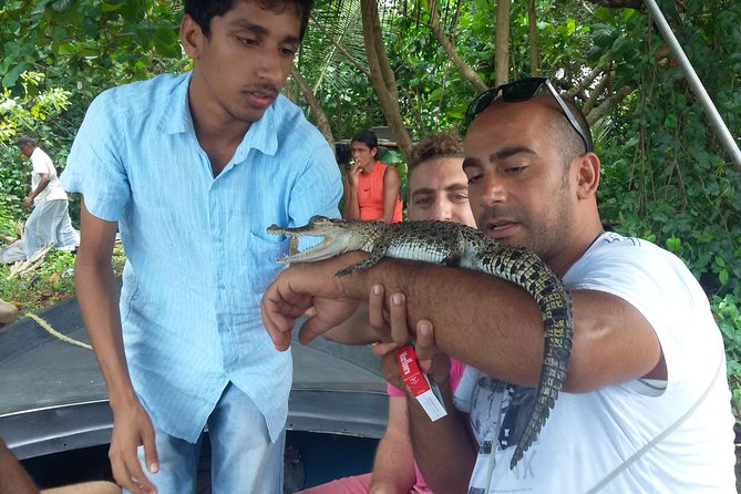 River Safari Bentota - River Safari Experience