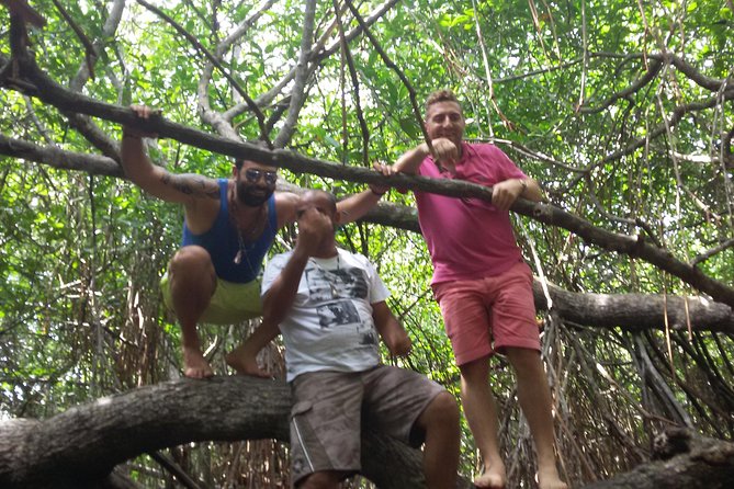 River Safari Bentota - The Sum Up