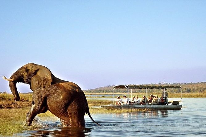 River Safari - Adventure Activities Included