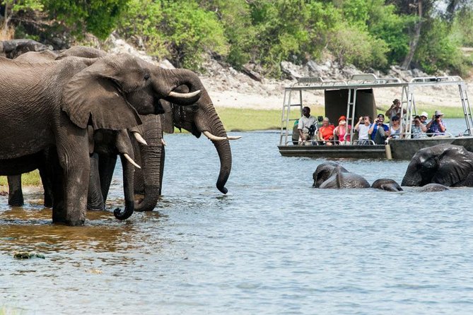 River Safari - Meeting and Pickup Details
