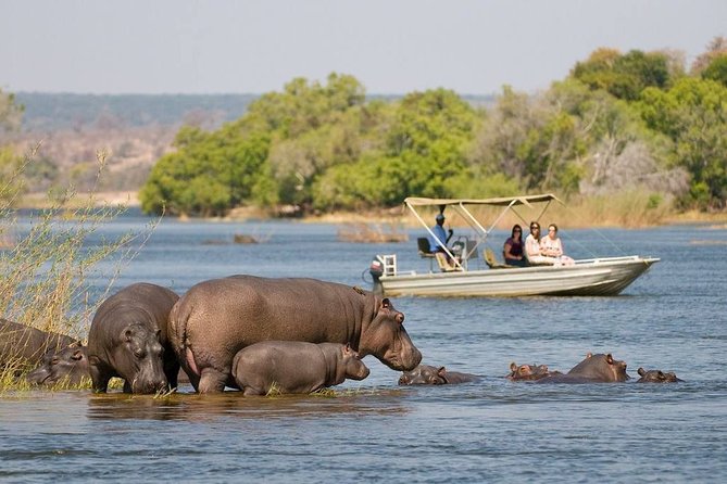 River Safari - Cancellation Policy Guidelines