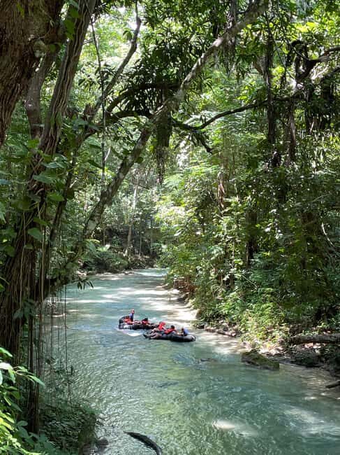 River Tubing From Falmouth - What Travelers Are Saying