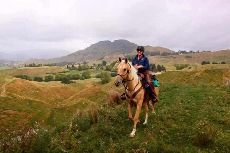 River Valley Lodge: High Country Enchantment Horse Trek - Introduction: A Thrill for the Confident Rider