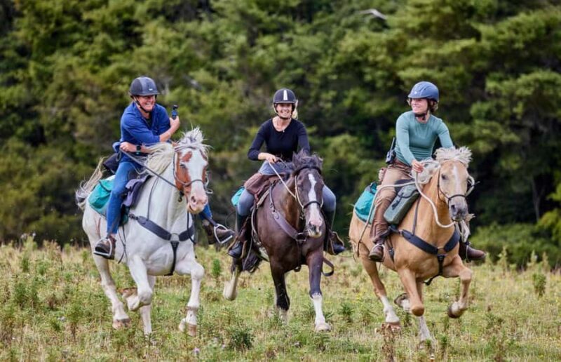 River Valley Lodge: High Country Enchantment Horse Trek - The Experience of Freestyle Riding