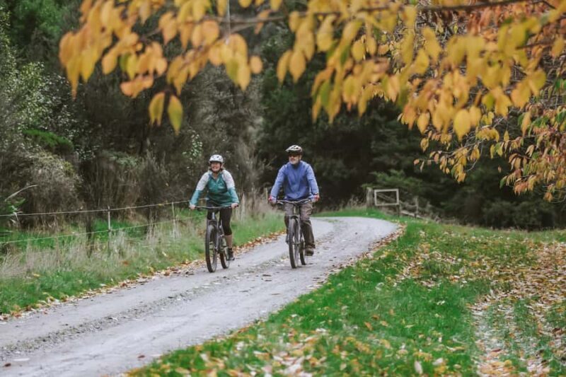 River Valley Lodge: River Valley E-Bike Rental with Lunch - Practical Tips for Your Ride