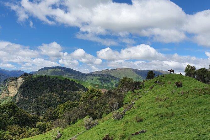 River Valley Stables - Burn The Breeze, Half Day Horse Ride For Riders - Whats Included in the Horse Ride Package