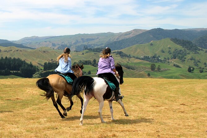 River Valley Stables - Burn The Breeze, Half Day Horse Ride For Riders - Meeting Point and Pickup Information