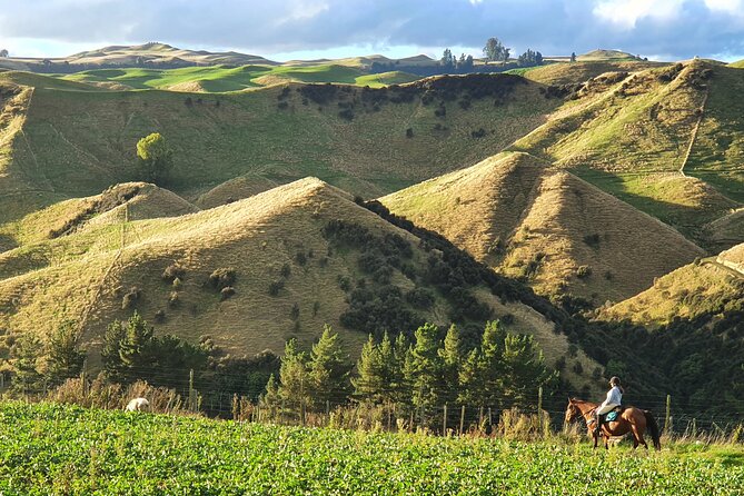 River Valley Stables - Burn The Breeze, Half Day Horse Ride For Riders - Understanding the Cancellation Policy