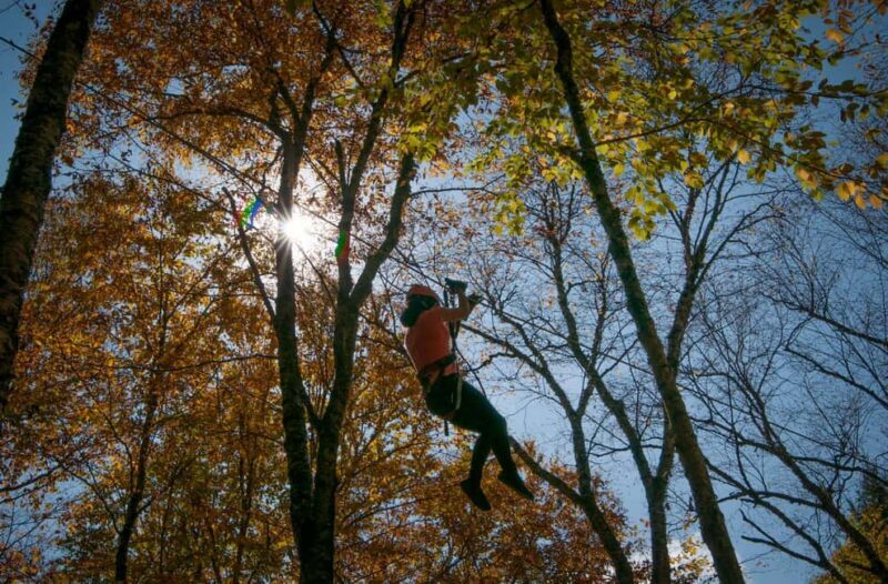River Ziplines - Nature Tours - River Ziplines - Nature Tours: A Thrilling Forest Adventure in Quebec