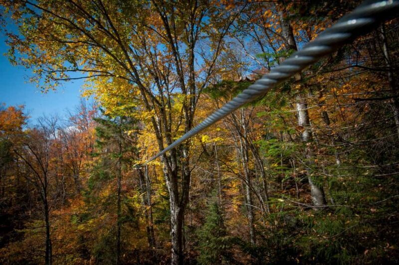 River Ziplines - Nature Tours - The Sum Up: Who Will Love River Ziplines?  