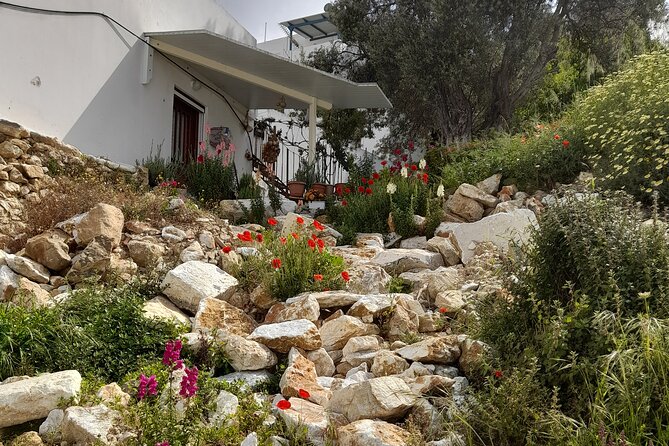 Riverbank Adventure in Naxos (Kinidaros - Eggares) - Additional Information