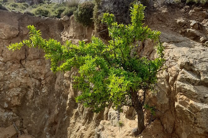 Riverbank Adventure in Naxos (Kinidaros - Eggares) - Tips for a Memorable Riverbank Adventure