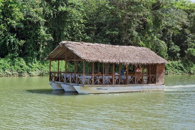 Rivers, Jungle with Buggies Adventure in Bayahibe - An Overview of the Experience