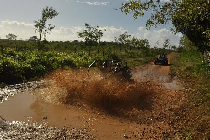 Rivers, Jungle with Buggies Adventure in Bayahibe - Frequently Asked Questions