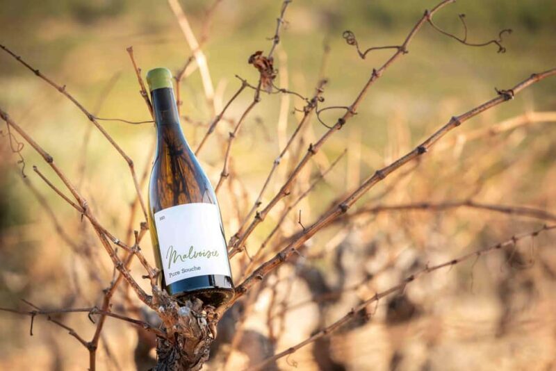 Rivesaltes - Secrets du Terroir and Unique Wine Tasting! - Good To Know