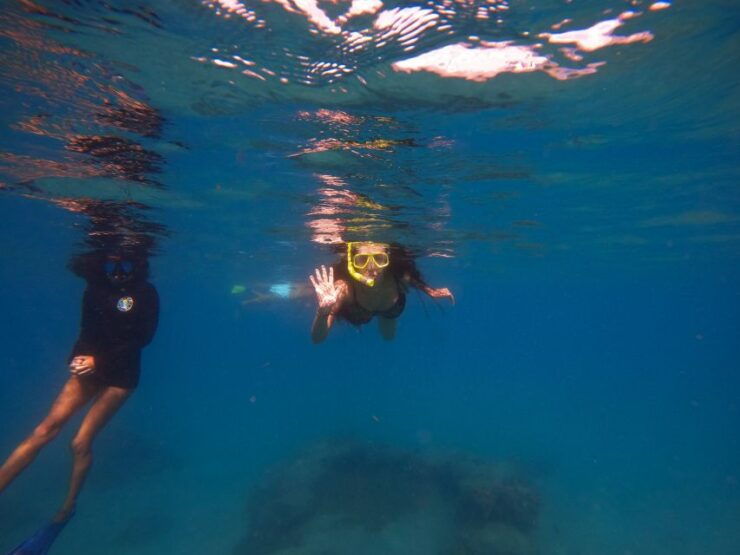 Riviera Beach, FL: Blue Heron Bridge Reef Snorkeling Tour - Tour Highlights