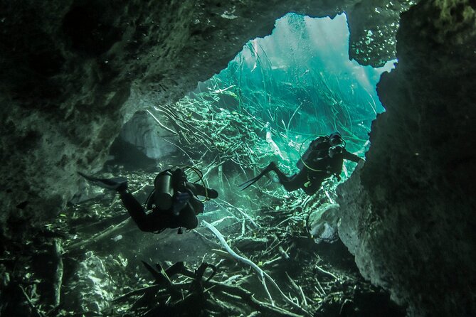 Riviera Maya Cenote Diving Tour From 3 Pickup Options  - Playa Del Carmen - Schedule and Opening Hours