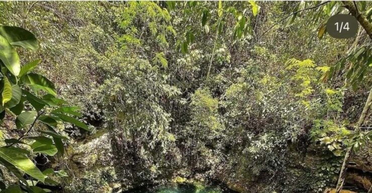 Riviera Maya: Cenotes & Jungle Gay Adventure - Pricing and Booking Options