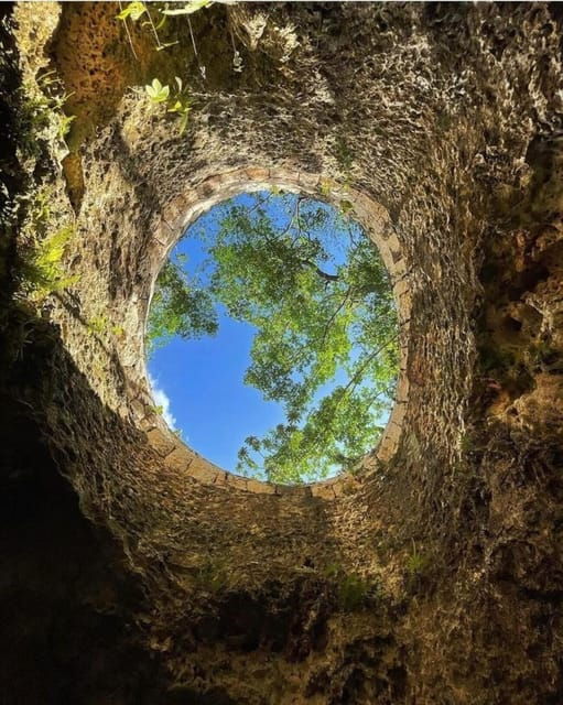 Riviera Maya: Cenotes & Jungle Gay Adventure - Cenote Exploration