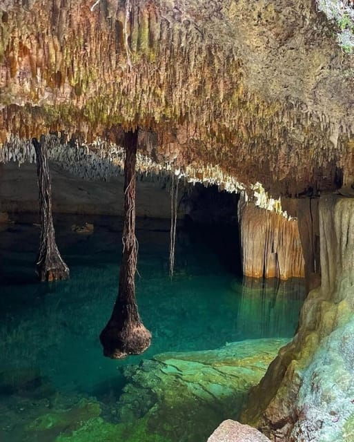 Riviera Maya: Cenotes & Jungle Gay Adventure - Guided Tour Insights
