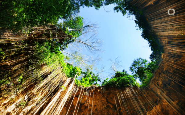 Riviera Maya Chichen Itza and 2 Cenotes Ikkil and Hubiku With Entrance Fees Included - Cenote Swimming Experiences
