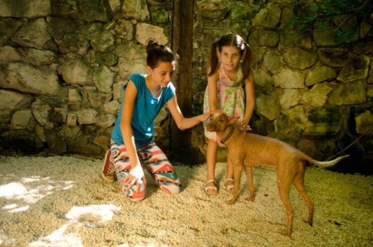 Riviera Maya: Croco Cun Interactive Zoo Tour - Tour Overview