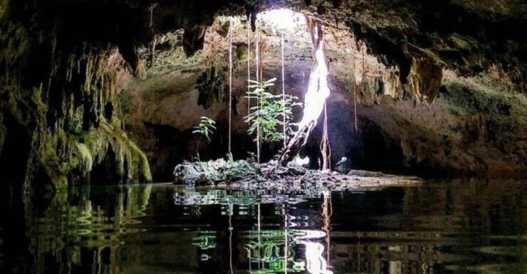 Riviera Maya: Discover Two Unique Cenotes - Good To Know