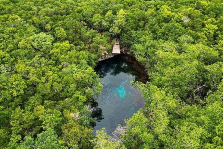 Riviera Maya: Discover Two Unique Cenotes - Itinerary Details