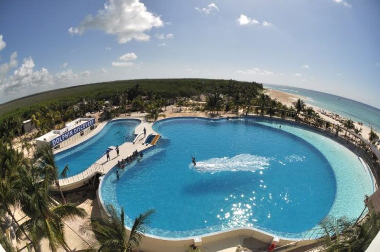 Riviera Maya: Dolphin Encounter With Beach Club Access - Ticket Information