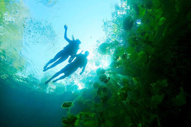 Riviera Maya: Four Cenotes Tour - Cancun - Tour Highlights and Inclusions