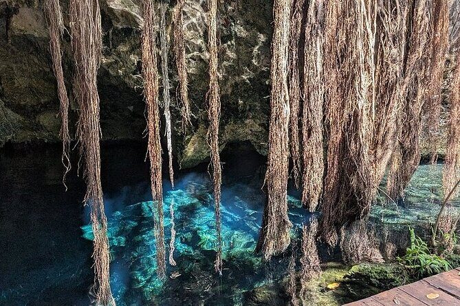 Riviera Maya Half Day Casa Jaguar Cenote, Zipline and ATV - Who Should Consider This Tour?