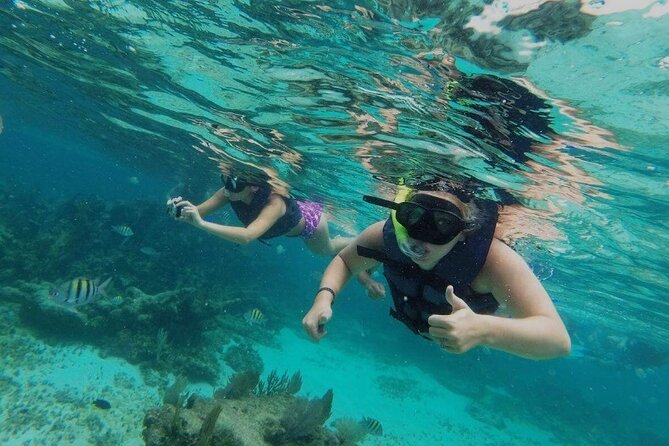 Riviera Maya Half-Day Catamaran Lunch Cruise  - Playa Del Carmen - Grilled Lunch