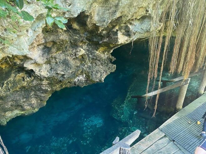 Riviera Maya: Half Day Jaguar Cenote and Zipline Adventure - Activities and Itinerary